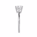 Diamonds Cushion and Trillion Setting in White Gold (Side View)