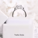 1.5 ctw Diamonds Oval and Trillion Setting in Platinum (Profile View)