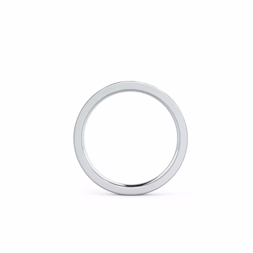 0.25 ct Round Lab Diamonds set in 18k White Gold Flat Flush Set Three Quarter Band (Profile View)