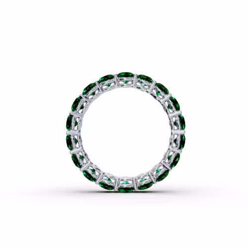 Platinum 3ctw Round Emerald Prong Set Eternity Band in Platinum (Profile View)
