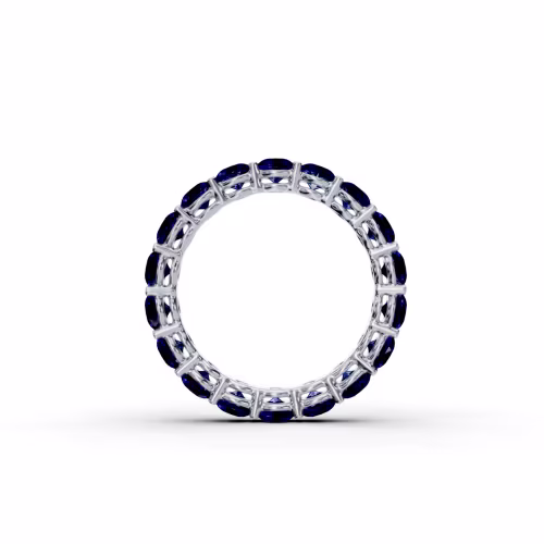 Platinum 3ctw Round Sapphire Prong Set Eternity Band in Platinum (Profile View)