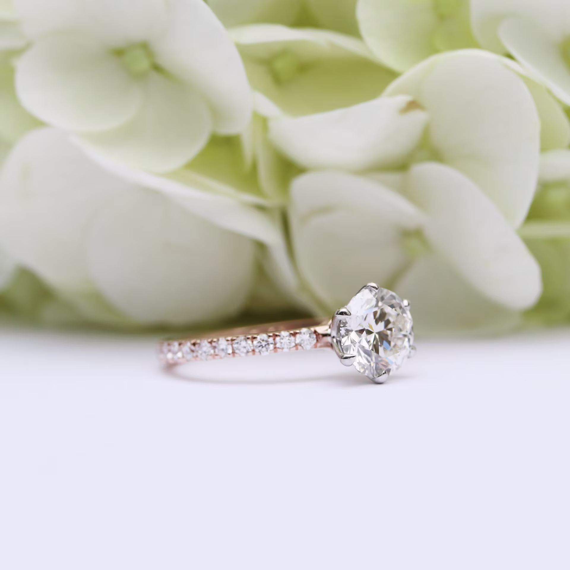 Lab Diamond Six Prong Pavé Engagement Ring White and Rose Gold Design AD-243