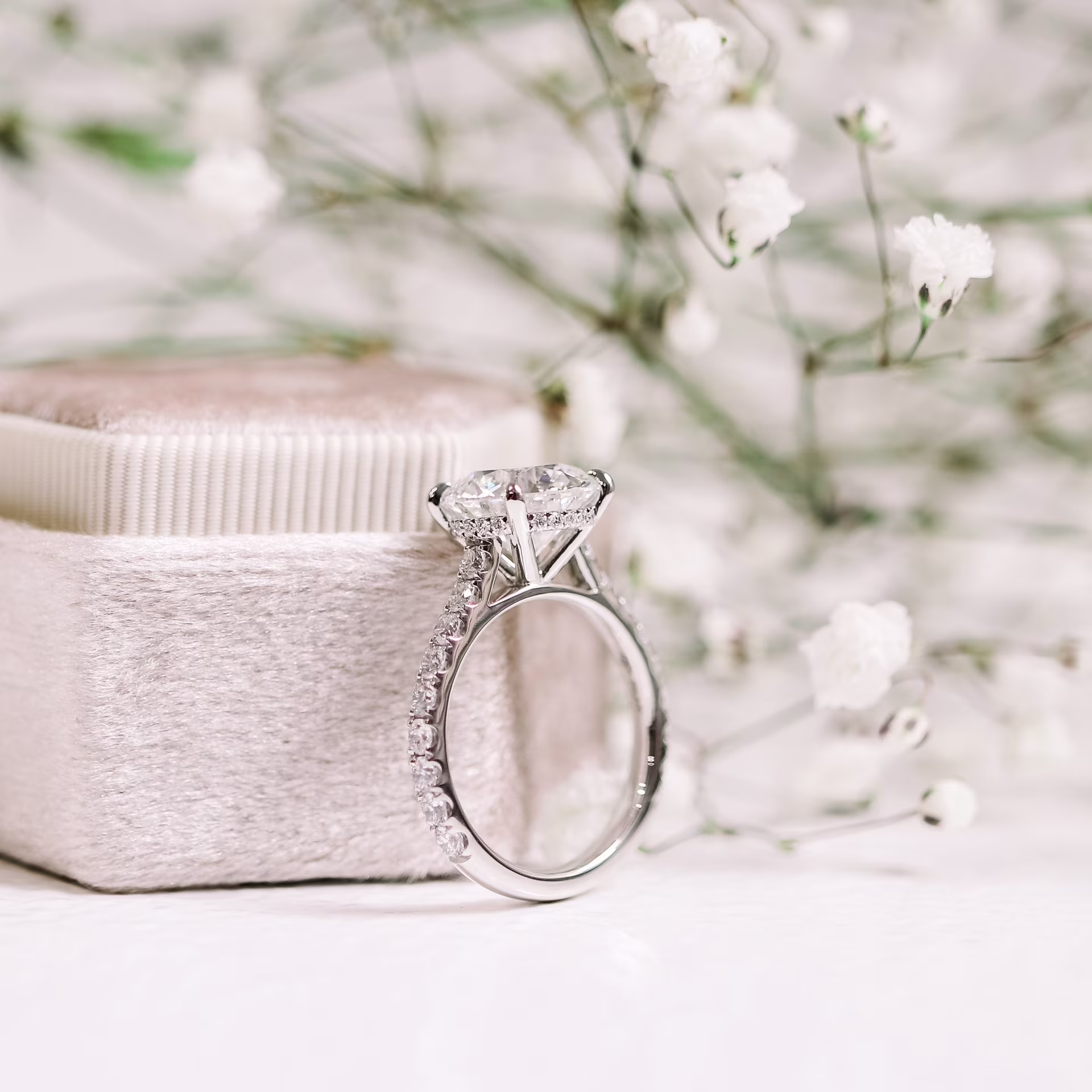 platinum lab diamond pave setting