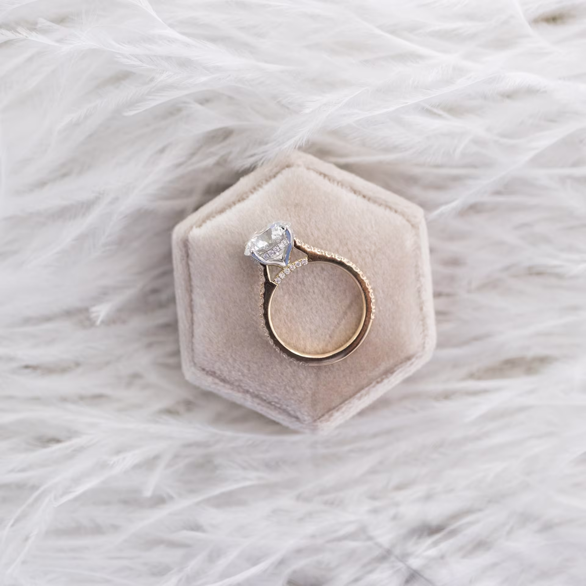 two tone platinum and yellow gold 3 carat round cathedral pavé engagement ring with diamond bridge in profile view ada diamonds design ad 133