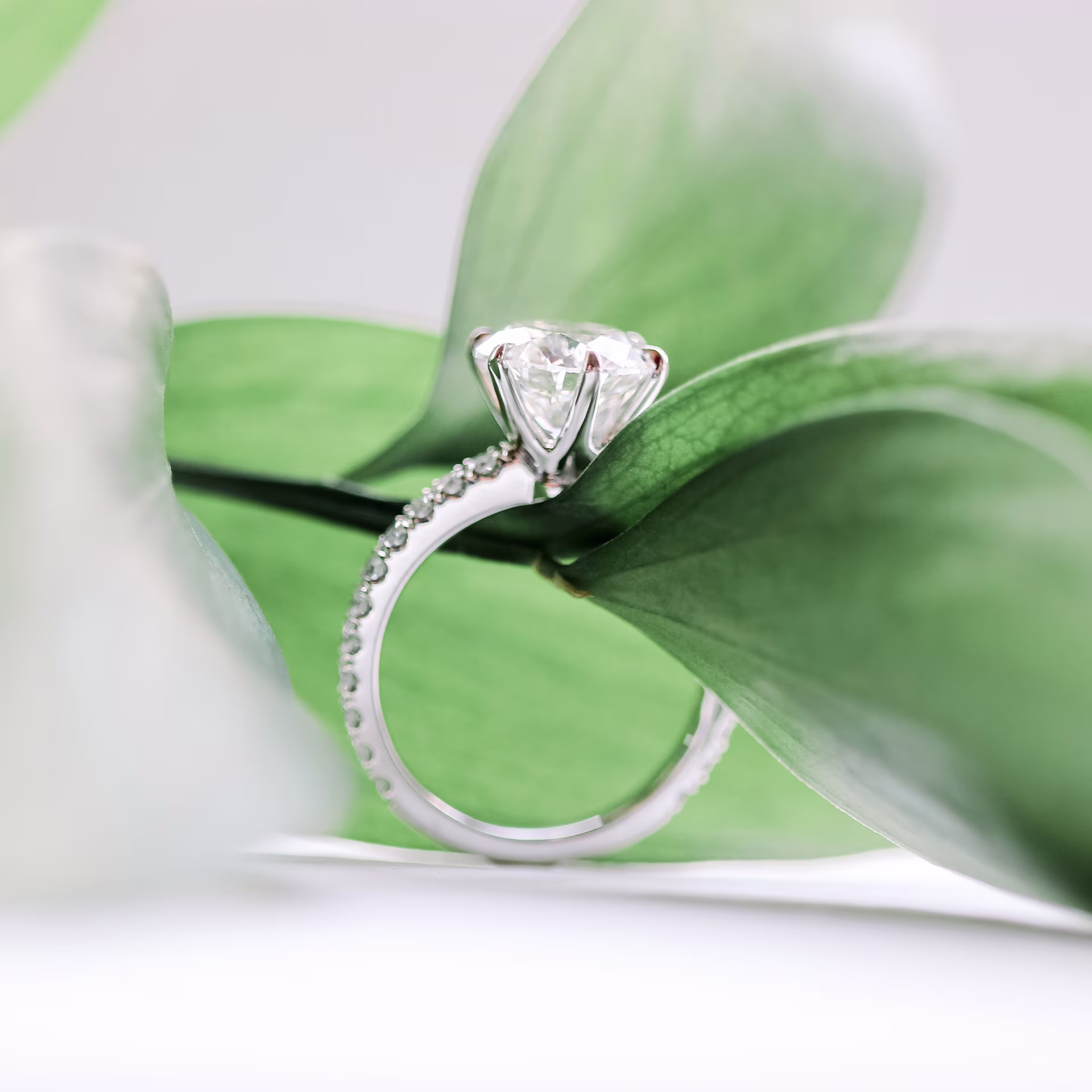 Diamonds set in Platinum Round Six Prong Pavé Diamond Engagement Ring