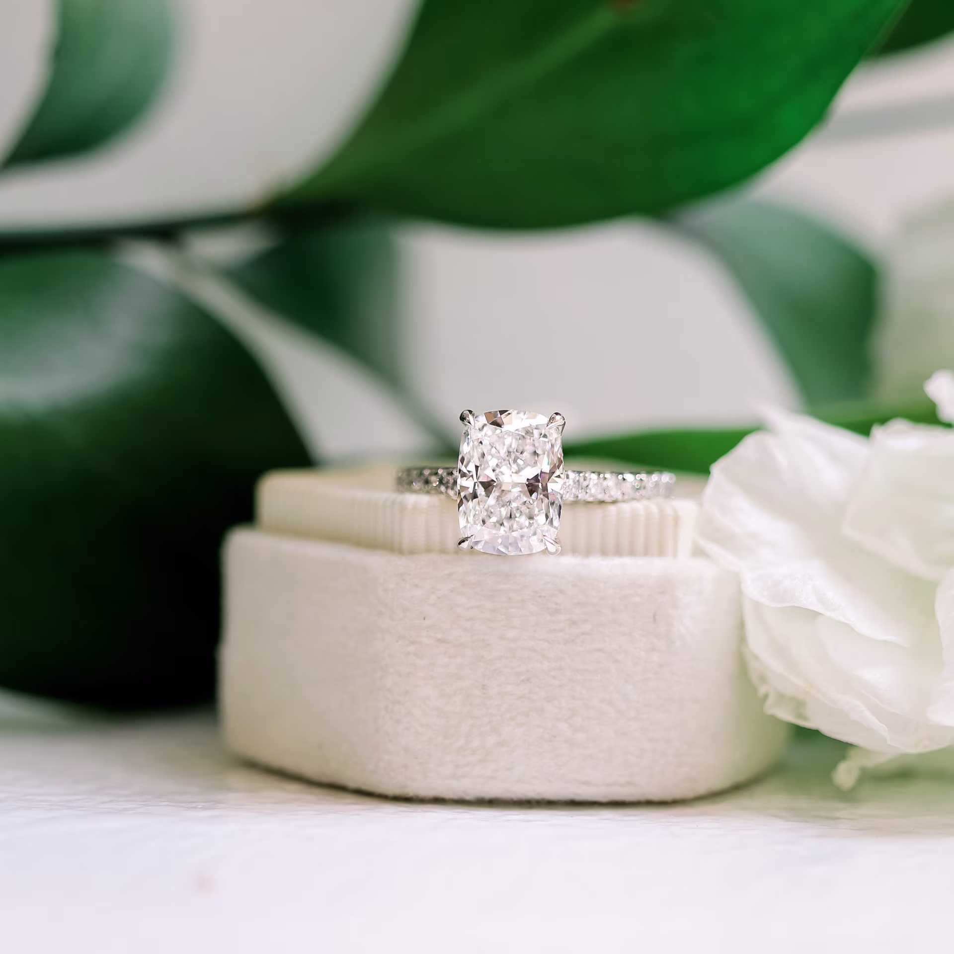 Cushion Cathedral Pavé Diamond Engagement Ring showcasing an elongated cushion cut in a pavé setting, AD-357