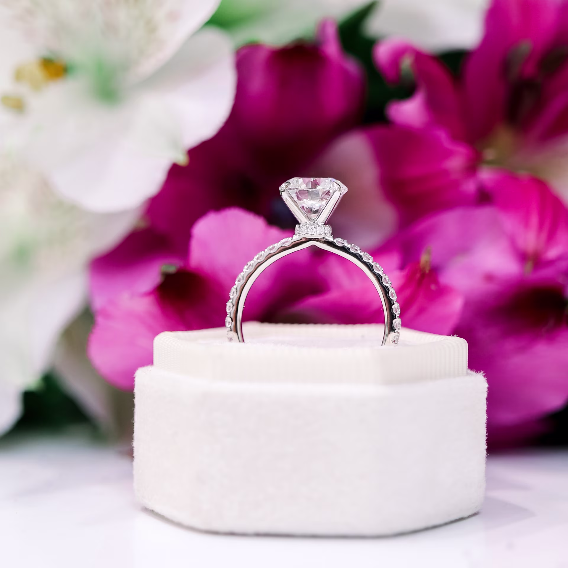 classic four prong pave ring with diamond collar