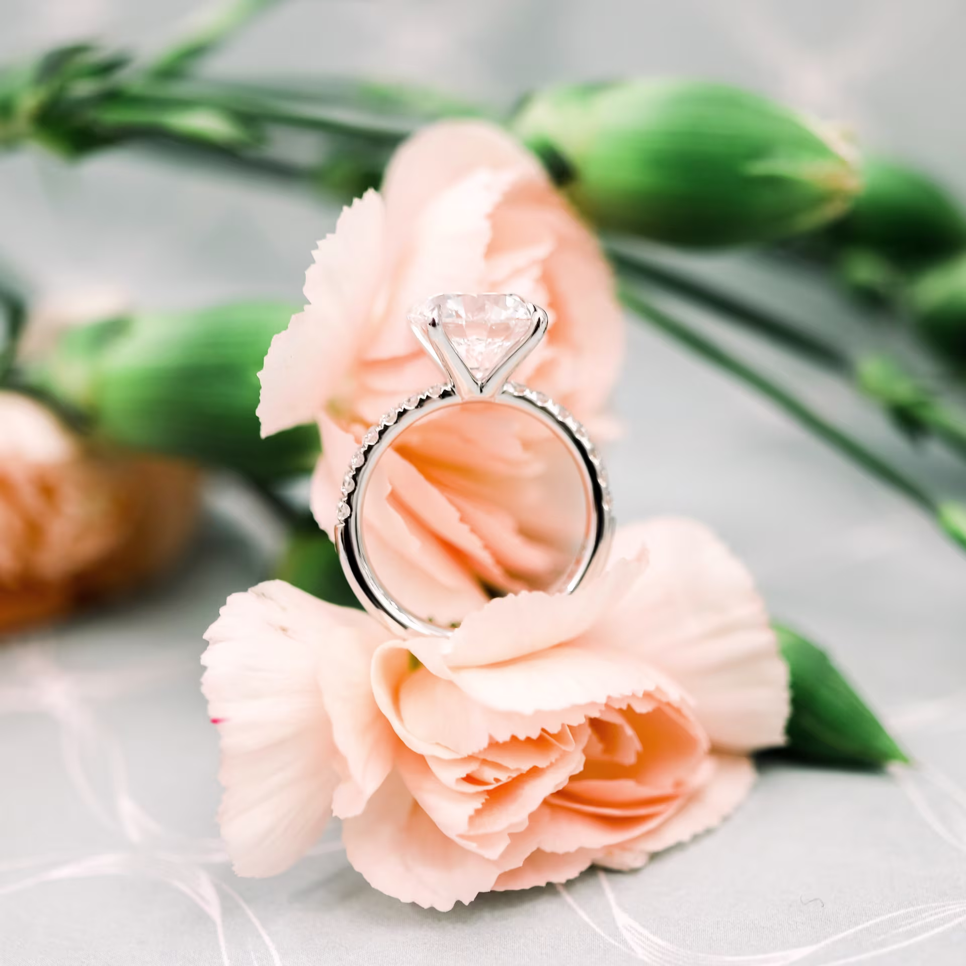 Platinum Round Classic Four Prong Pavé Setting featuring 3.0 Carat Lab Diamonds (Profile View)