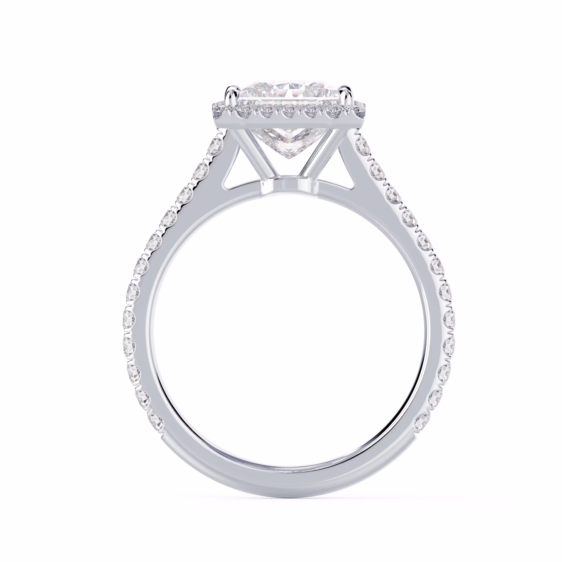 Diamonds Princess Halo Pavé Setting in White Gold (Profile View)