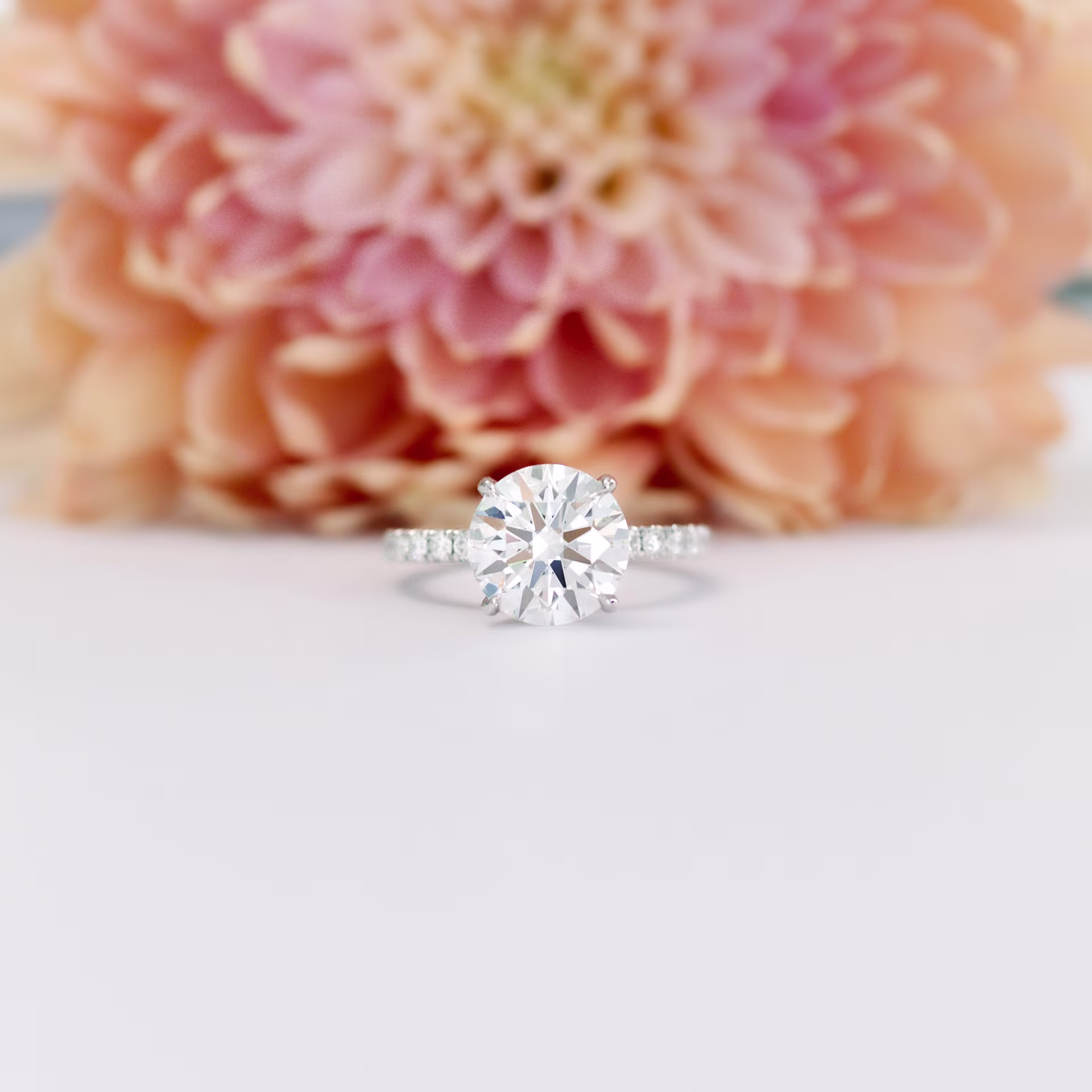 Platinum Round Petite Four Prong Pavé Setting featuring Hand Selected 3.0 Carat Lab Diamonds (Main View)