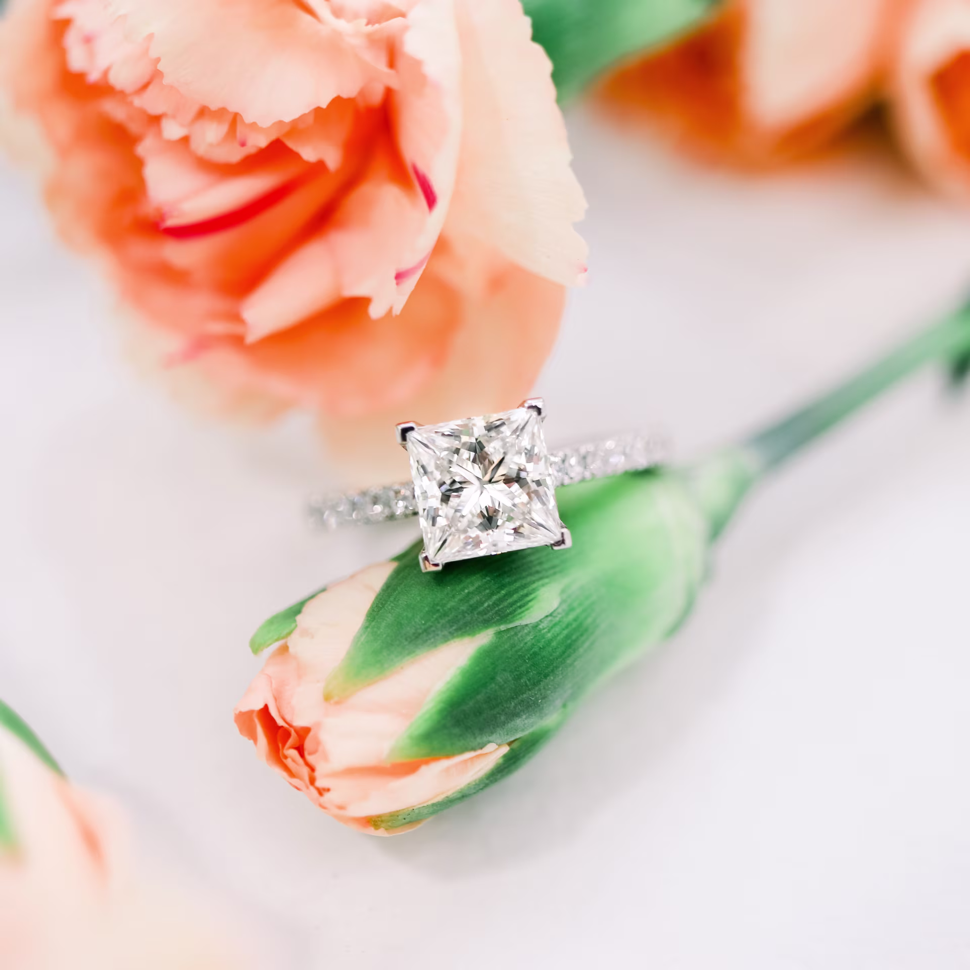 1.75 Carat Diamonds set in White Gold Princess Cathedral Pavé Setting (Main View)