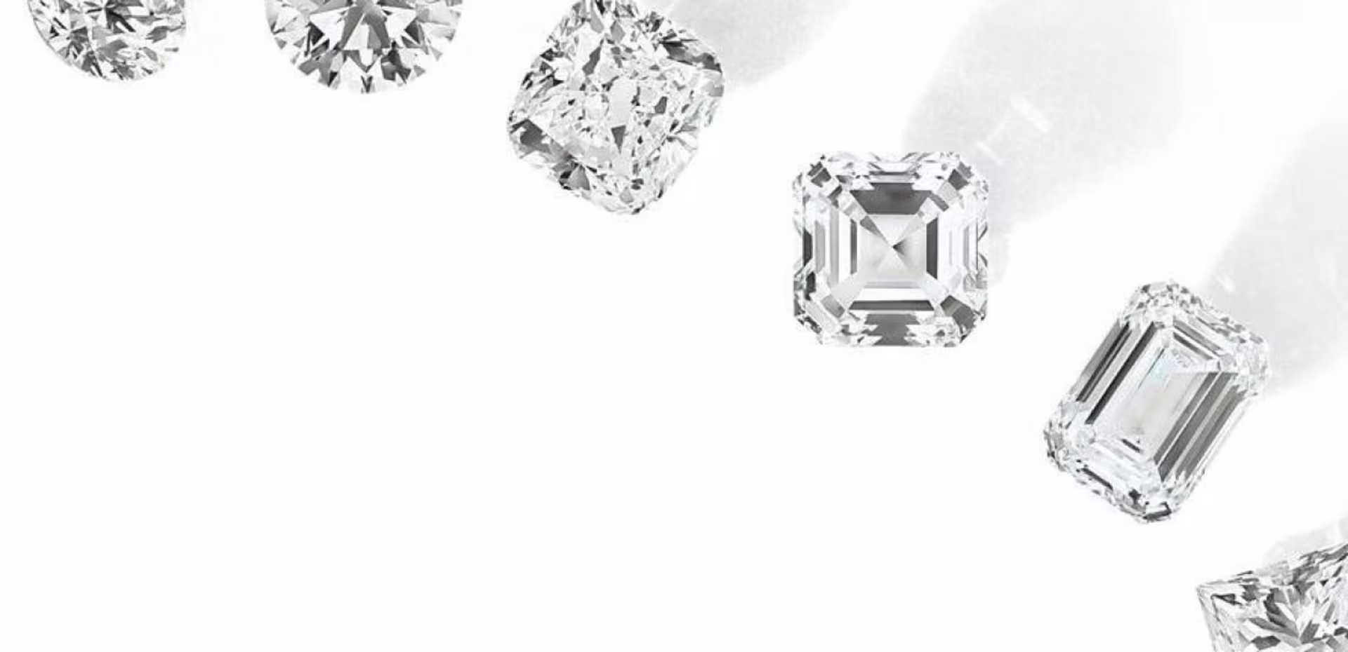 Don't see what you are looking for?