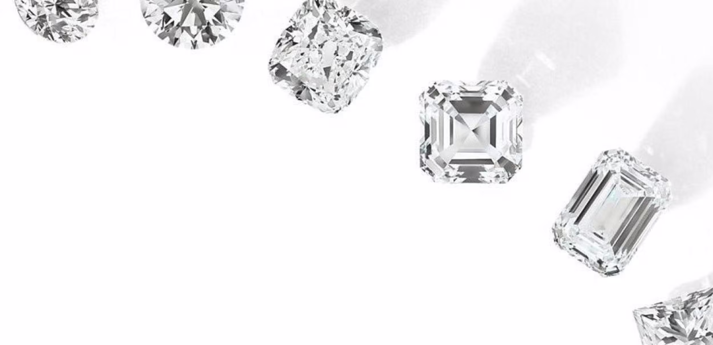 Don't see what you are looking for?