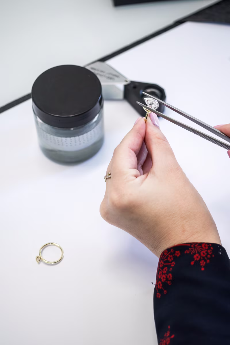 Collaboratively Created