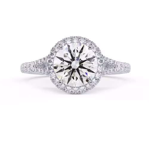 Diamonds Single Halo Split Shank Setting in White Gold (Main View)