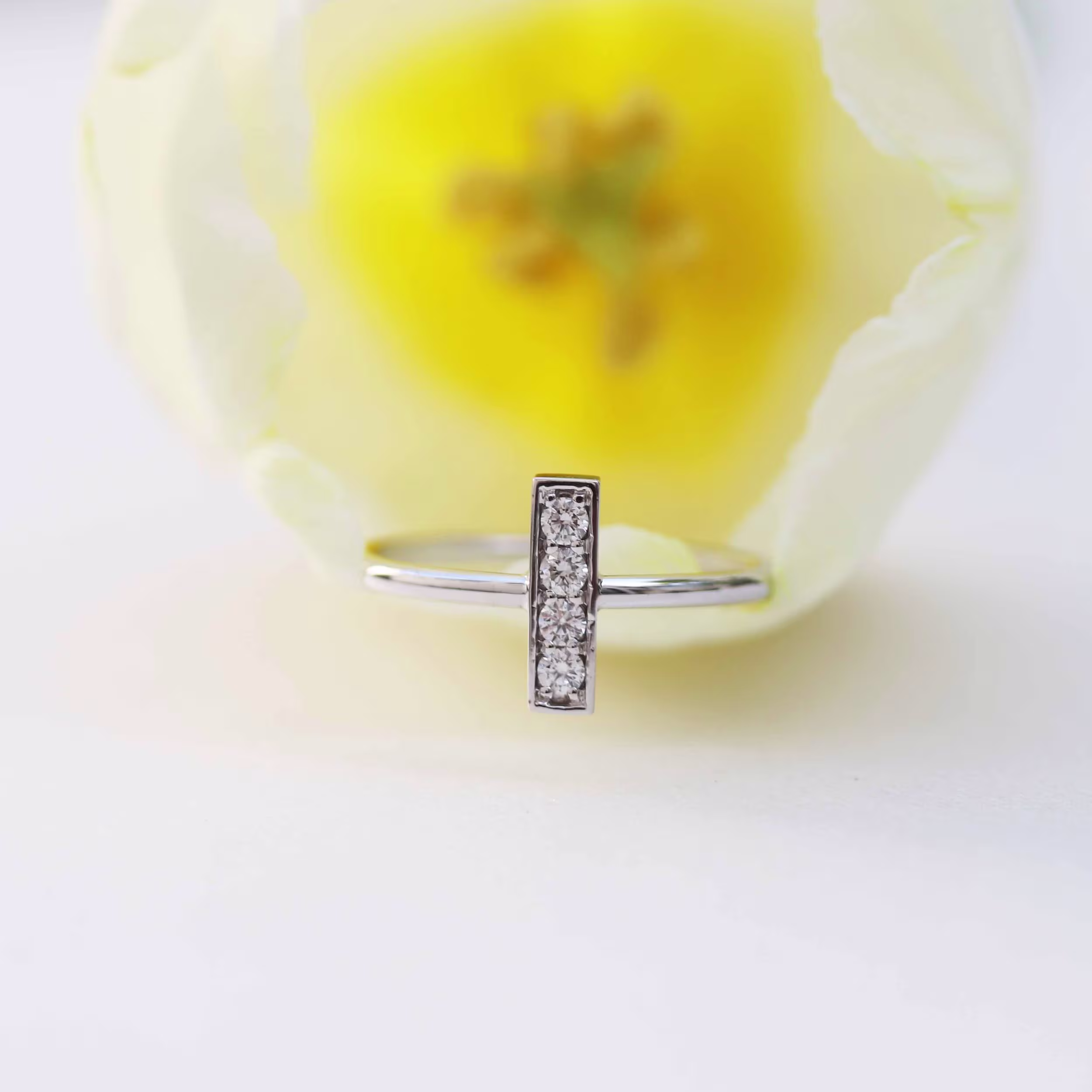 0.12 ct Round Lab Diamonds set in 14k White Gold Bar Ring (Main View)