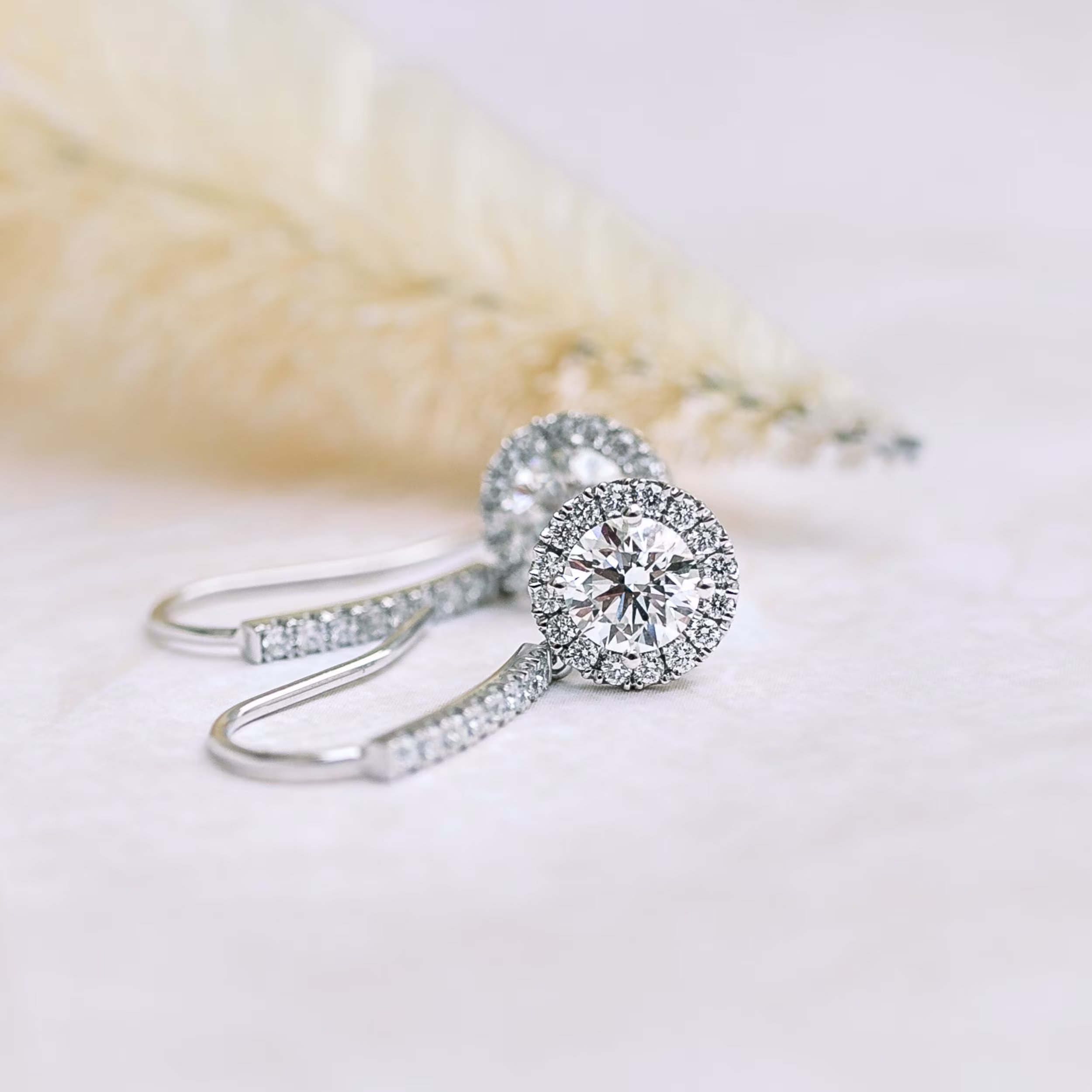Round Brilliant Diamonds set in Heavenly Single Halo Drop Earrings (Main View)