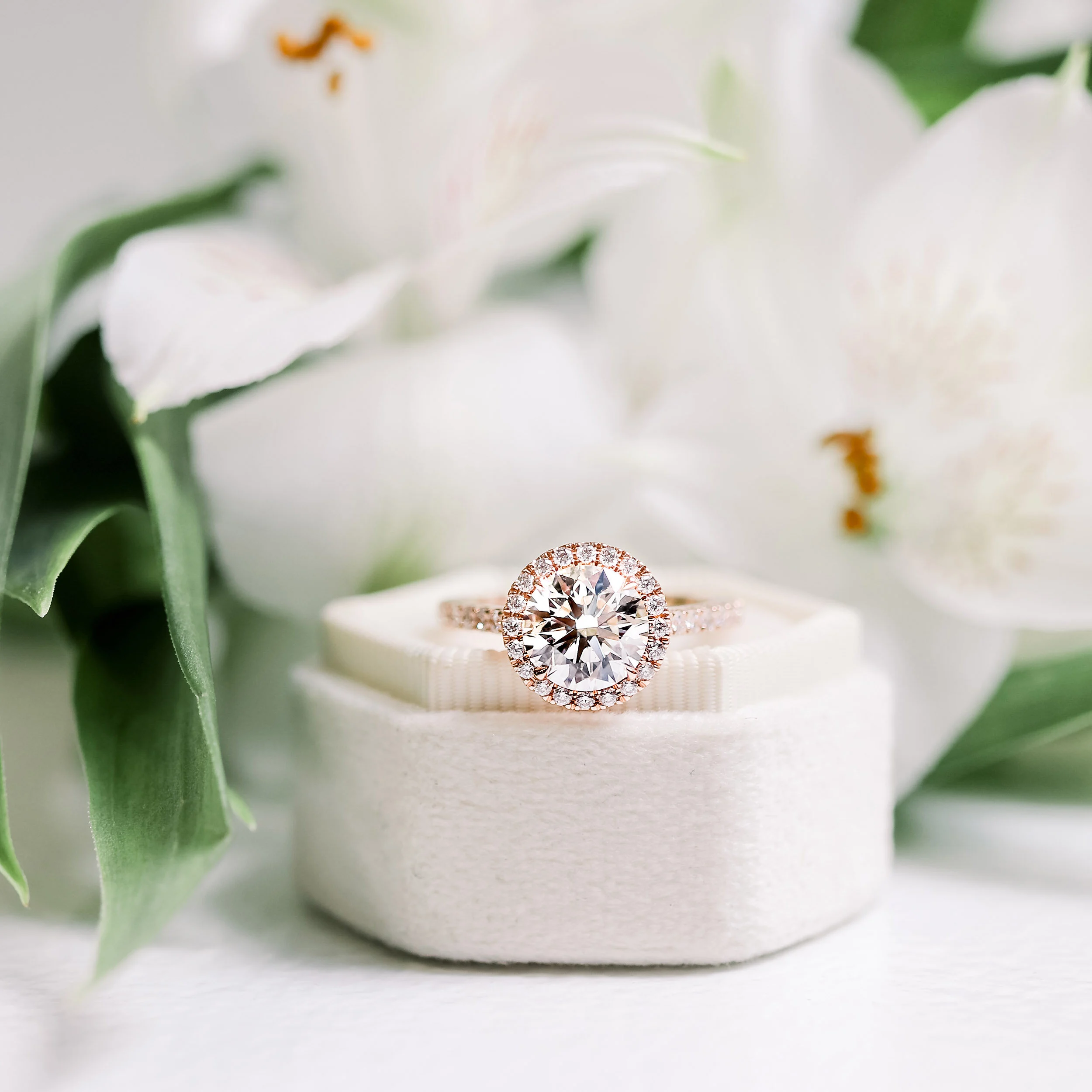 18k Rose Gold Round Lab Diamond Halo Engagement Ring Ada Diamonds Design AD-080 Macro