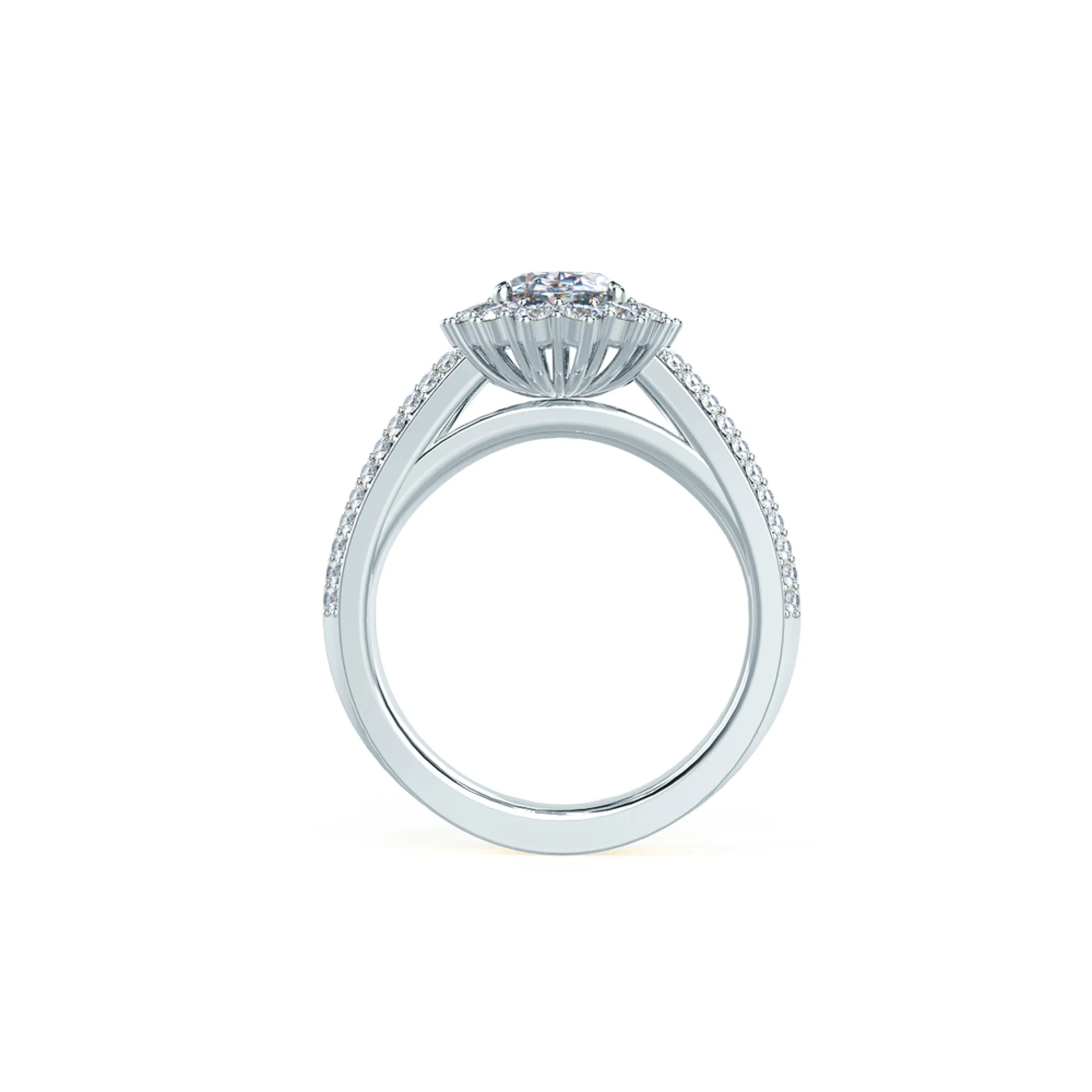 Classic Royal Halo Lab Created Diamond Engagement Ring in White Gold Design-116