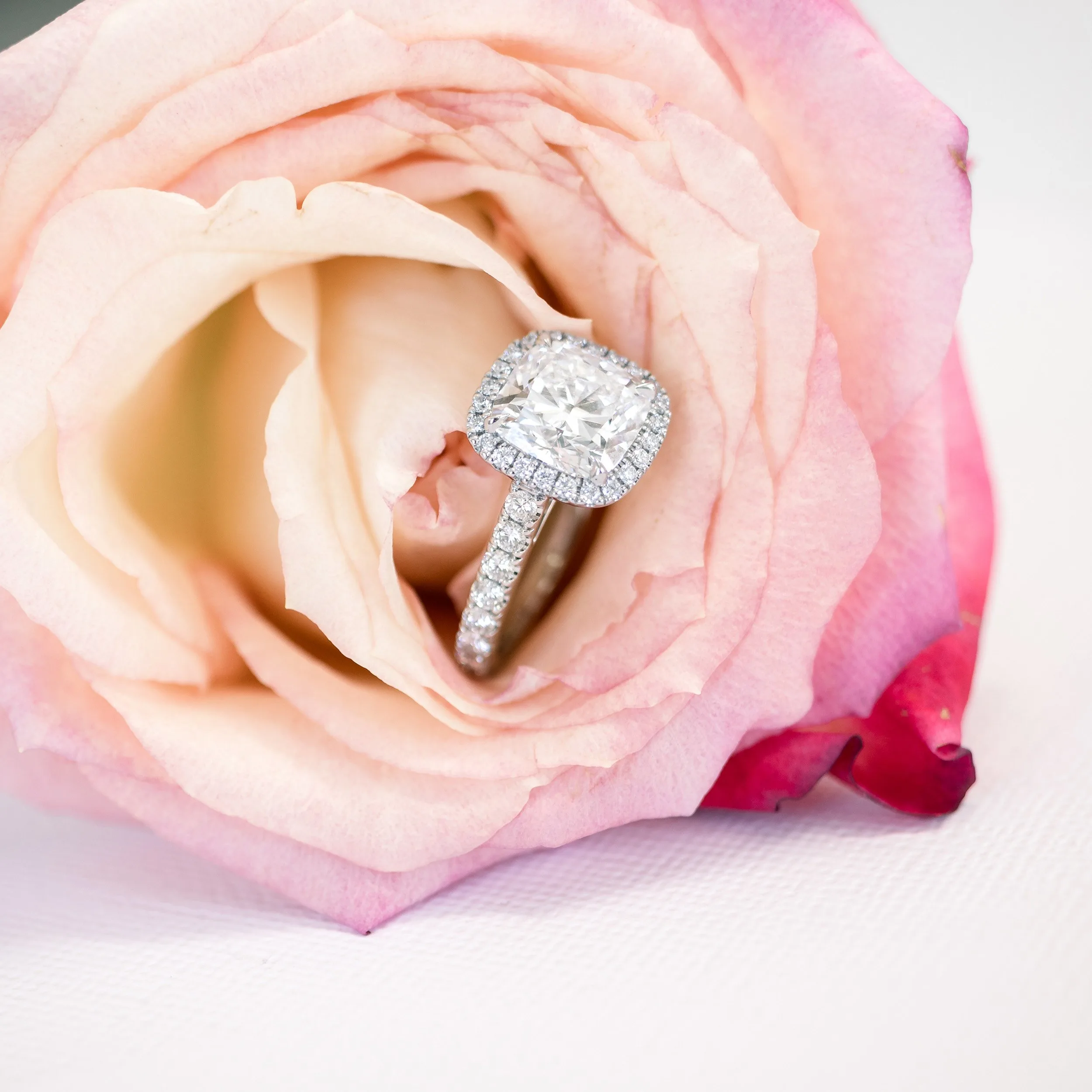 4 carat cushion cut lab diamond halo pavé engagement ring ada diamonds design ad 364 profile