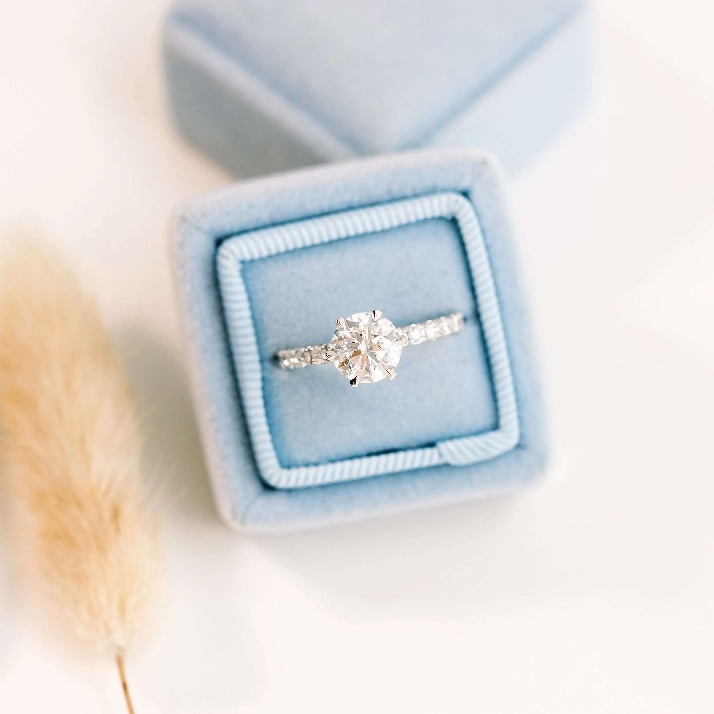 Lab Created Diamond Collar Setting Engagement Ring Ada Diamonds AD-244