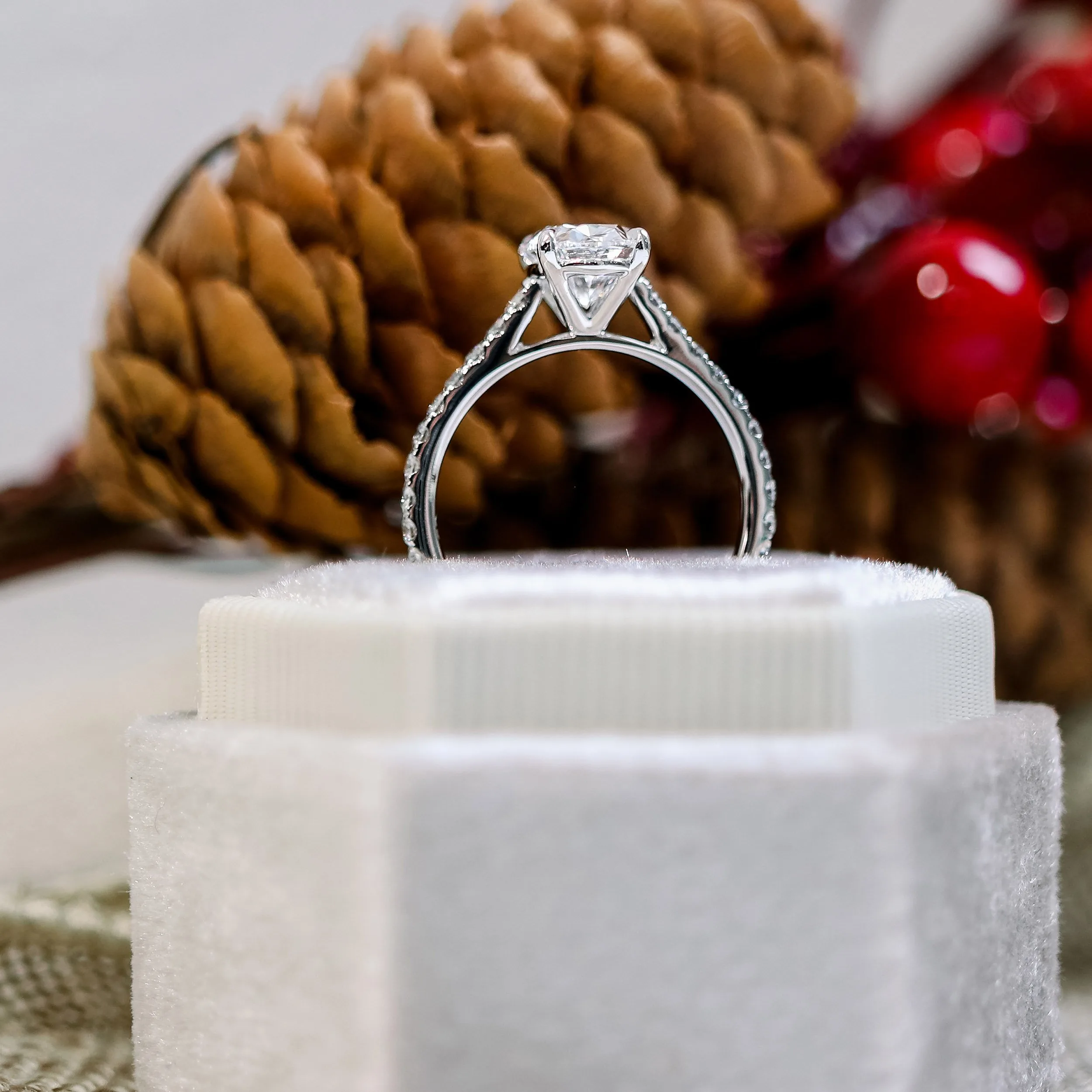 cathedral-pave-lab-diamond-ring_1641507330732-24BGKY749TOLTJKLBTCG