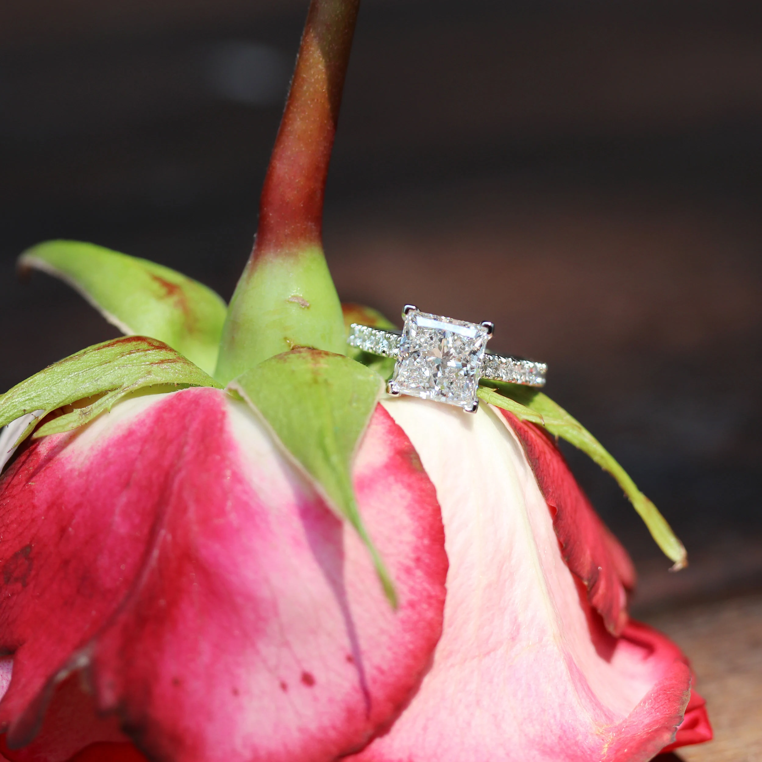 18k White Gold 1.75ct Princess Cut Lab Created Diamond Engagement Ring Ada Diamonds Design AD-344 Macro