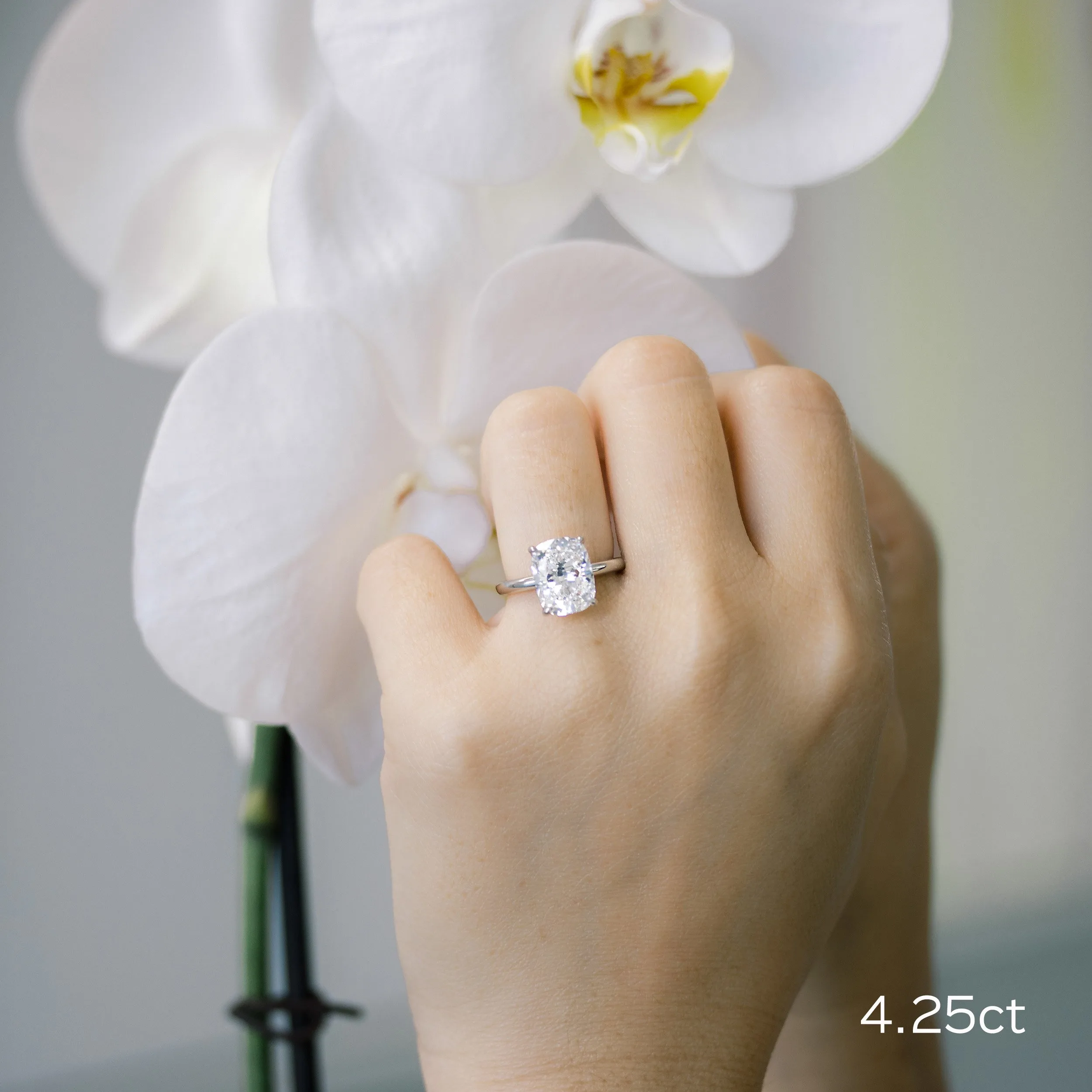 platinum 4 carat cushion cut lab diamond solitaire engagement ring ada diamonds design ad 221 on model