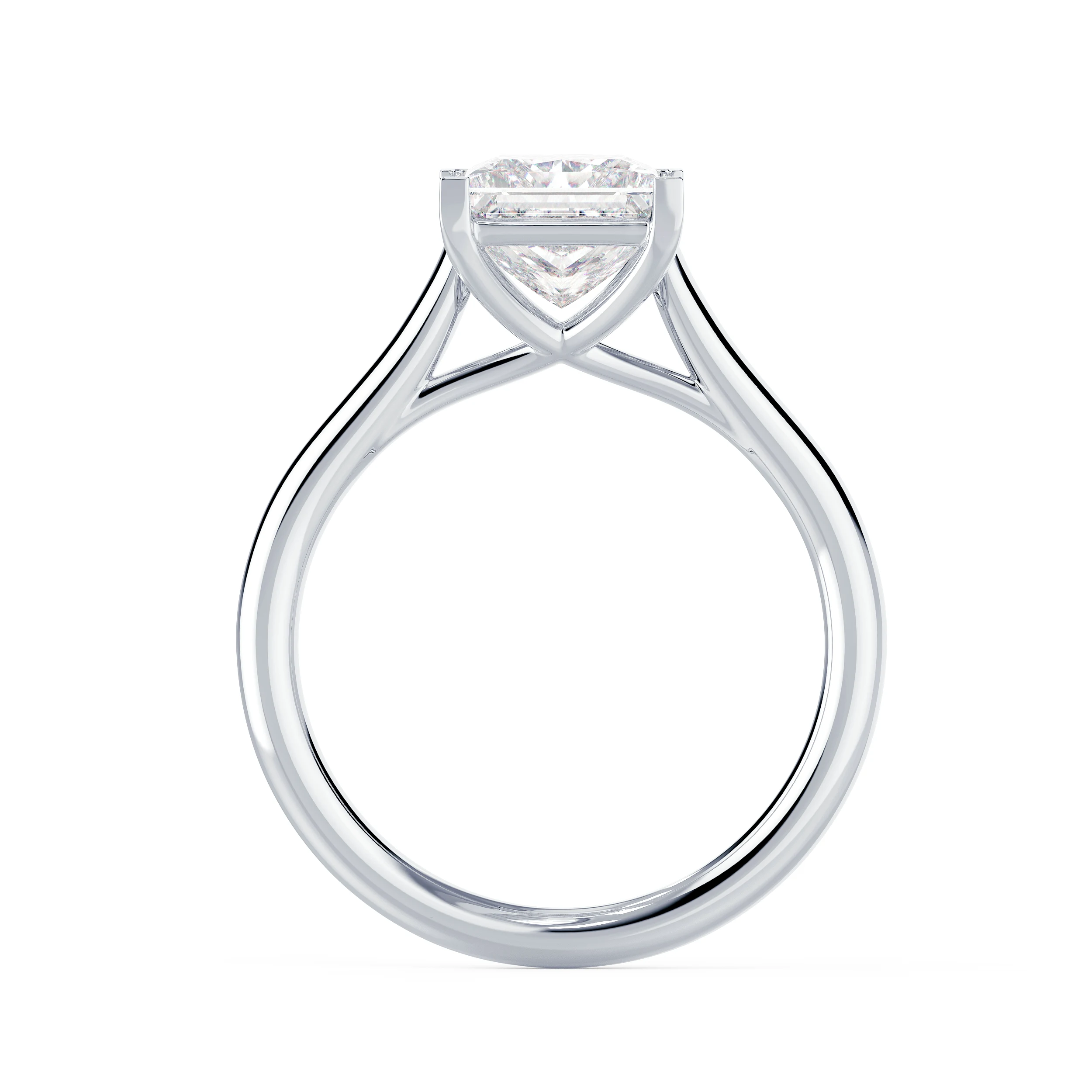 Diamonds Princess Trellis Solitaire Diamond Engagement Ring in White Gold (Profile View)