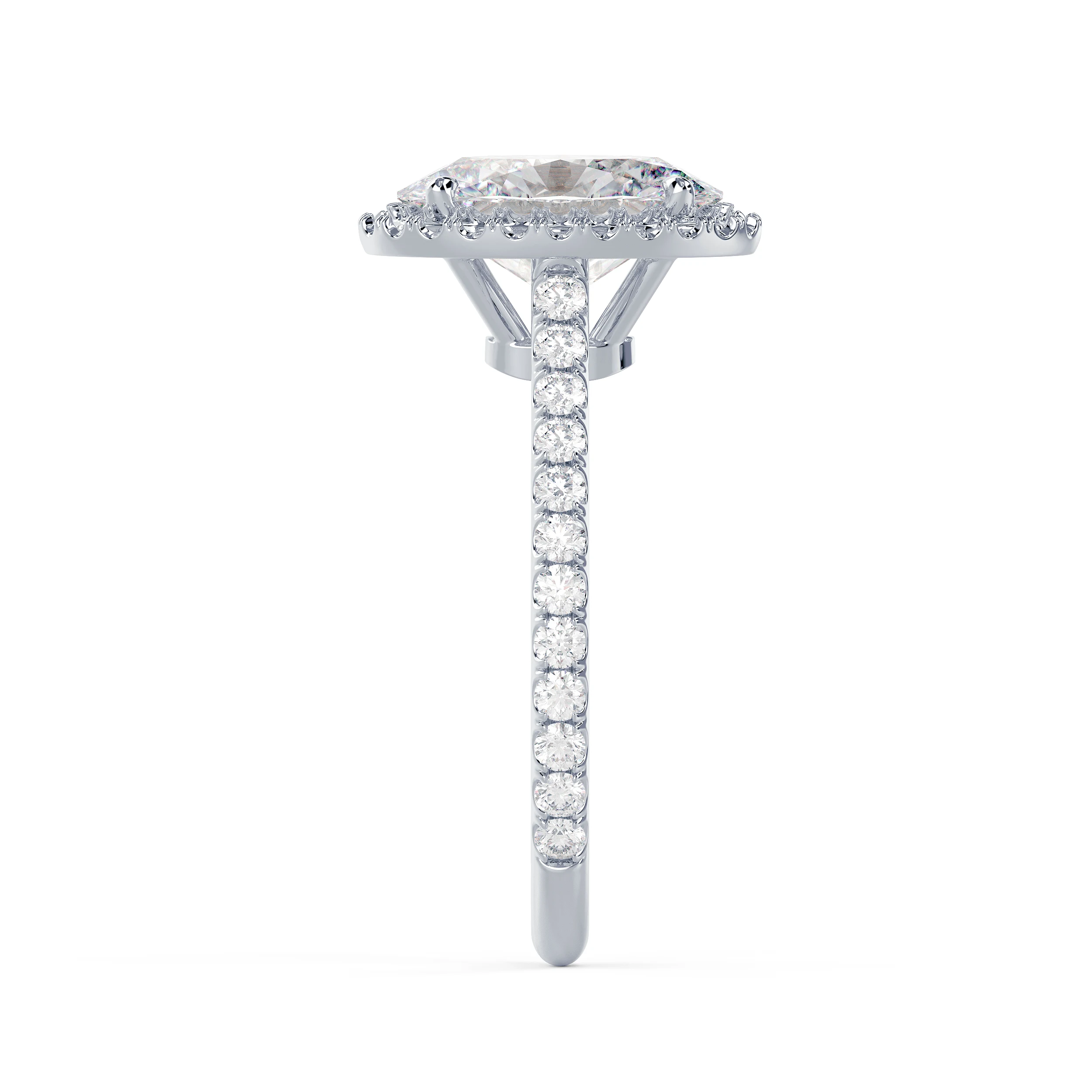 Diamonds Oval Halo Pavé Setting in White Gold (Side View)